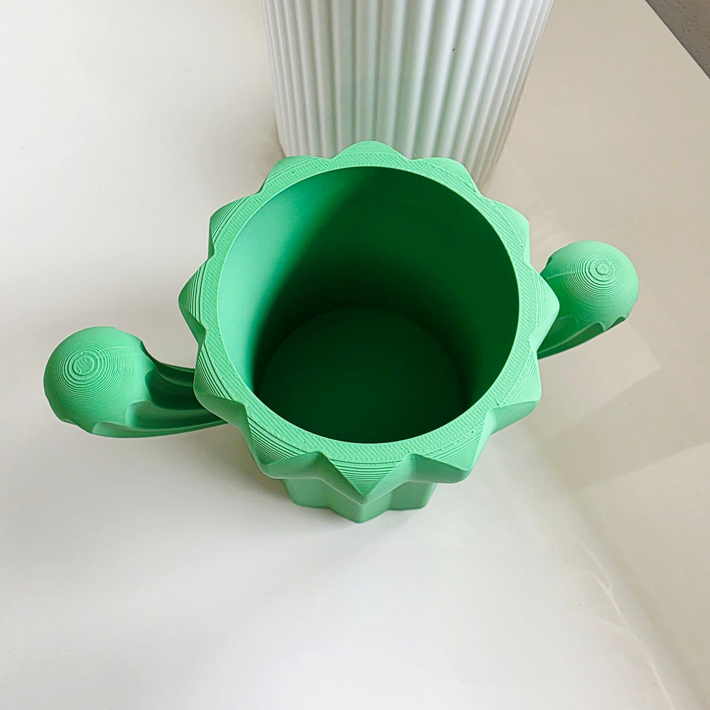 Cactus Desk Organiser