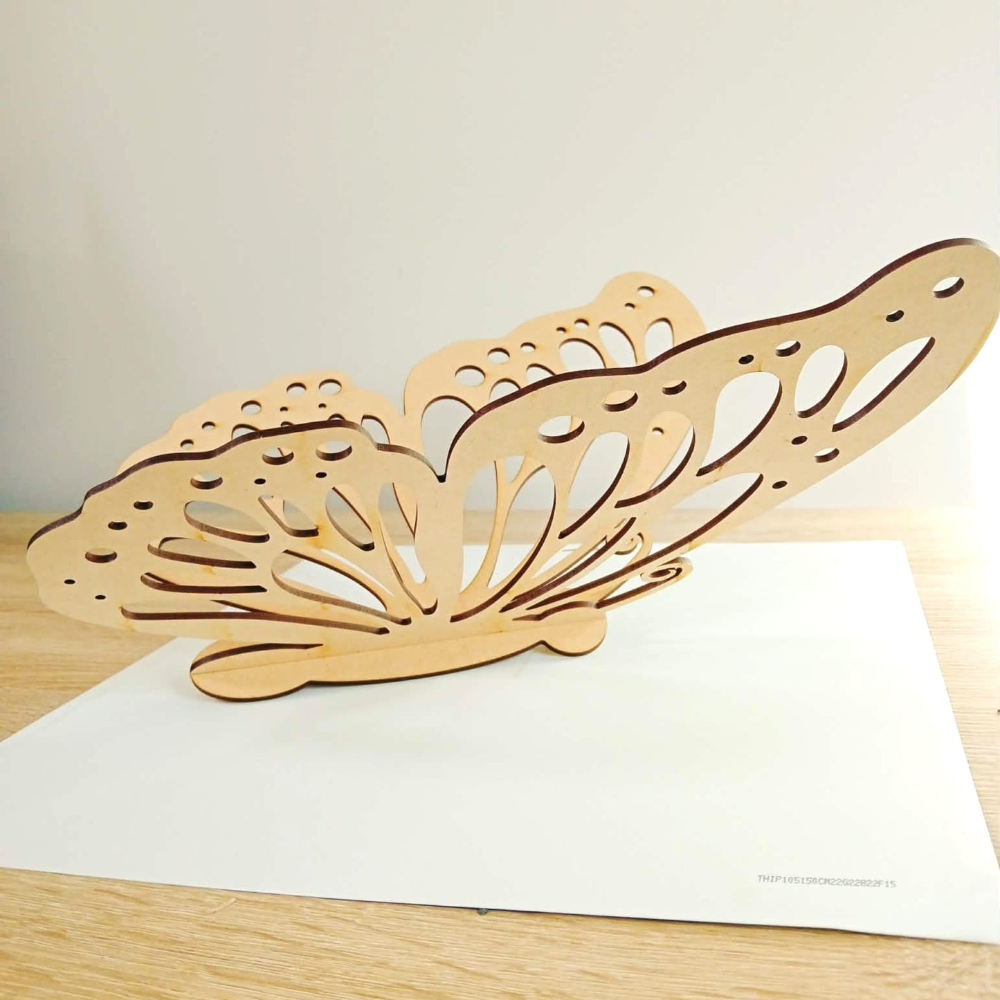 Decorate Your Own 3D Butterfly