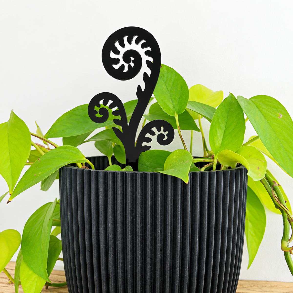 Mini Punga Plant Stakes | Set of 3