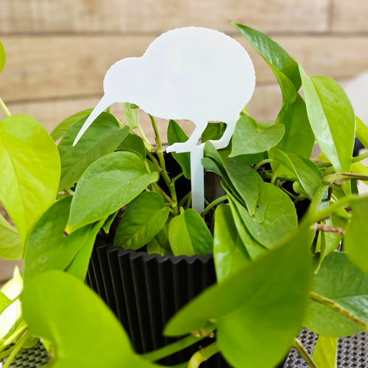 Mini Native Bird Plant Stakes | Set of 3