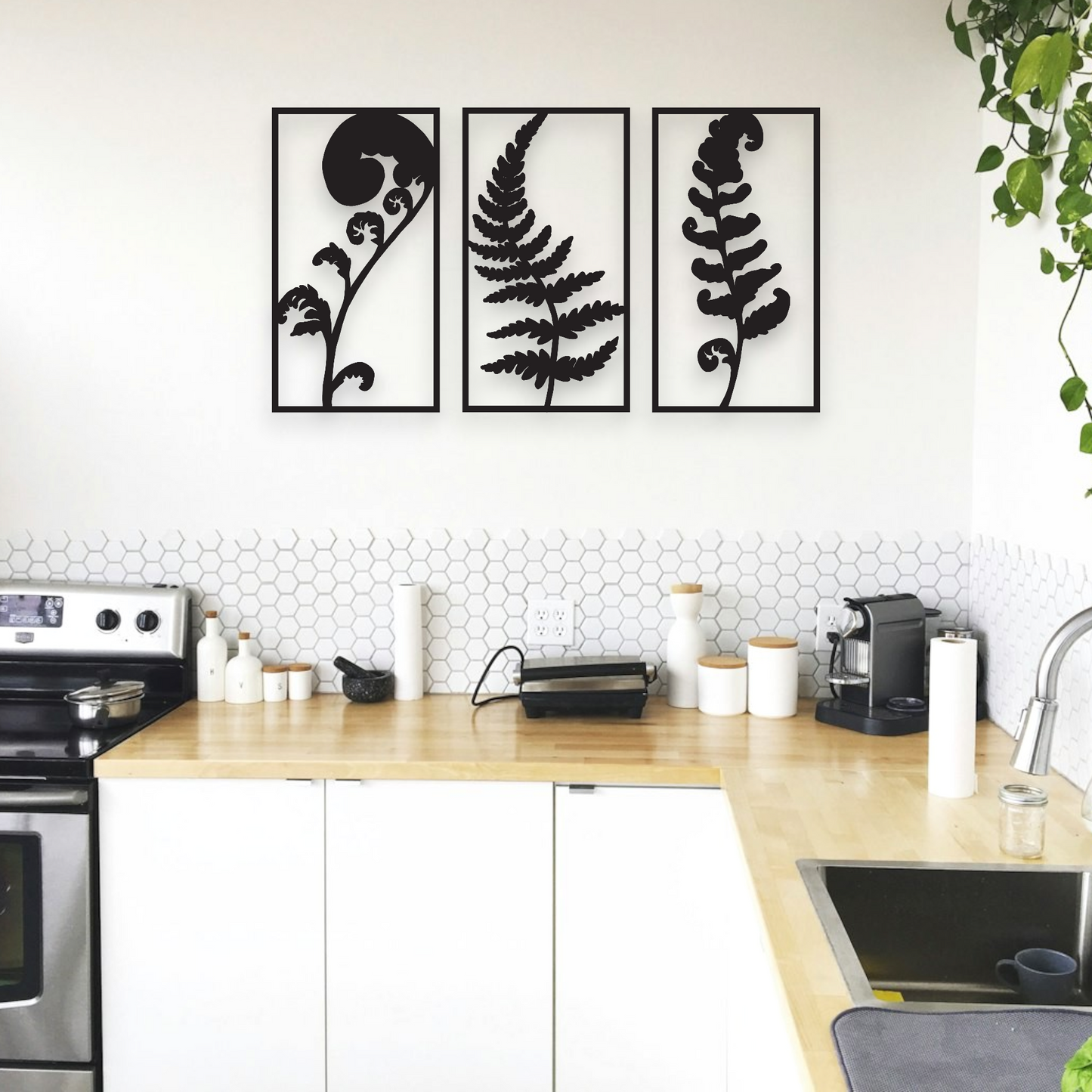 NZ Ferns Wall Art Set