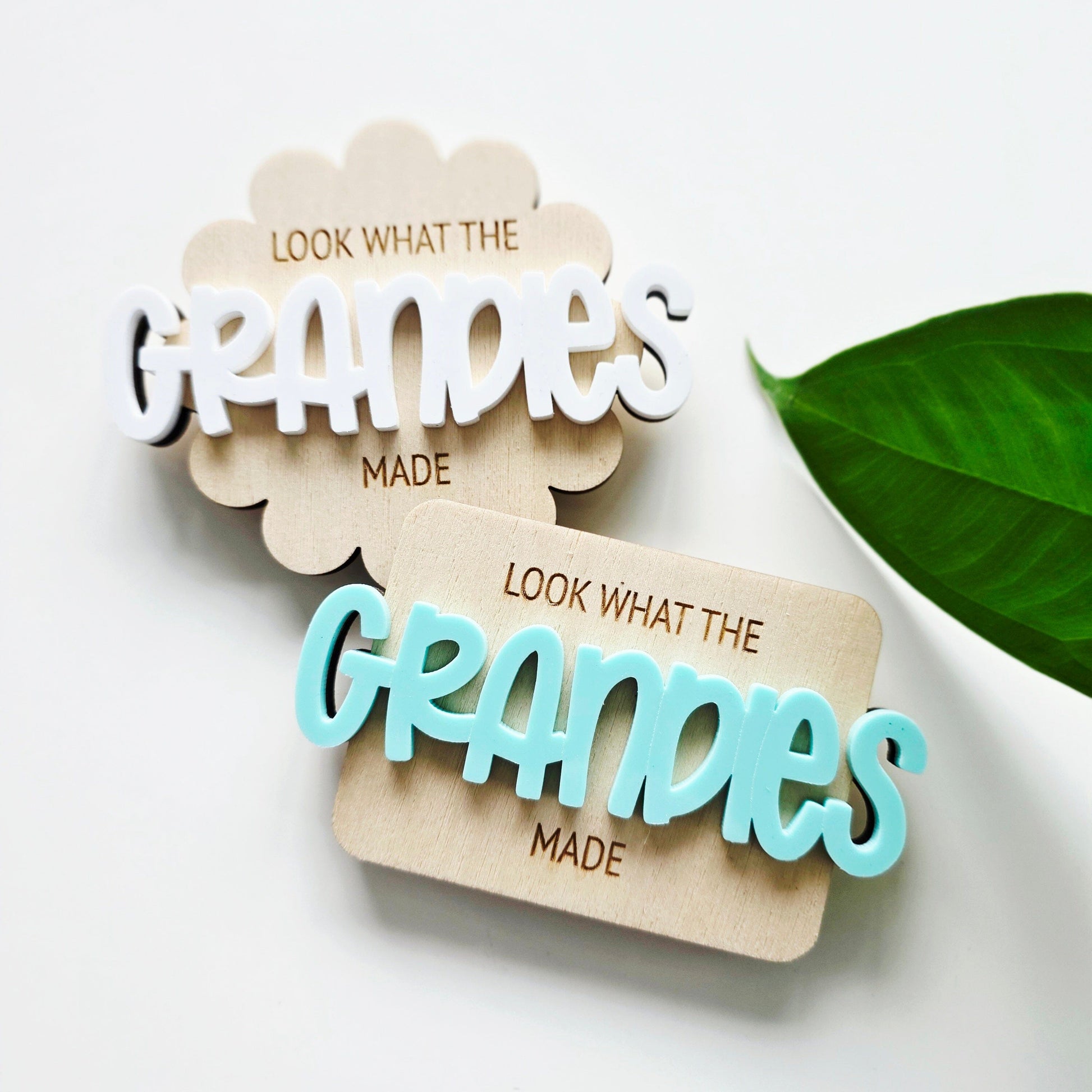 Look What The Grandies Made Magnet Whimsic 