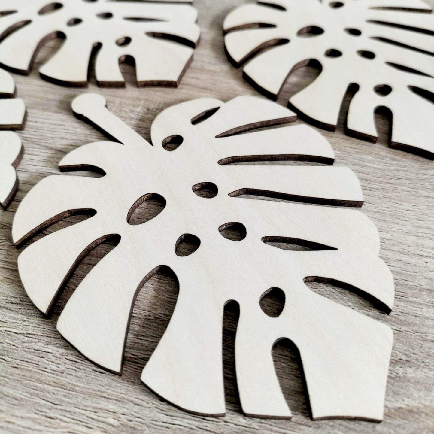 Monstera Coasters Whimsic 