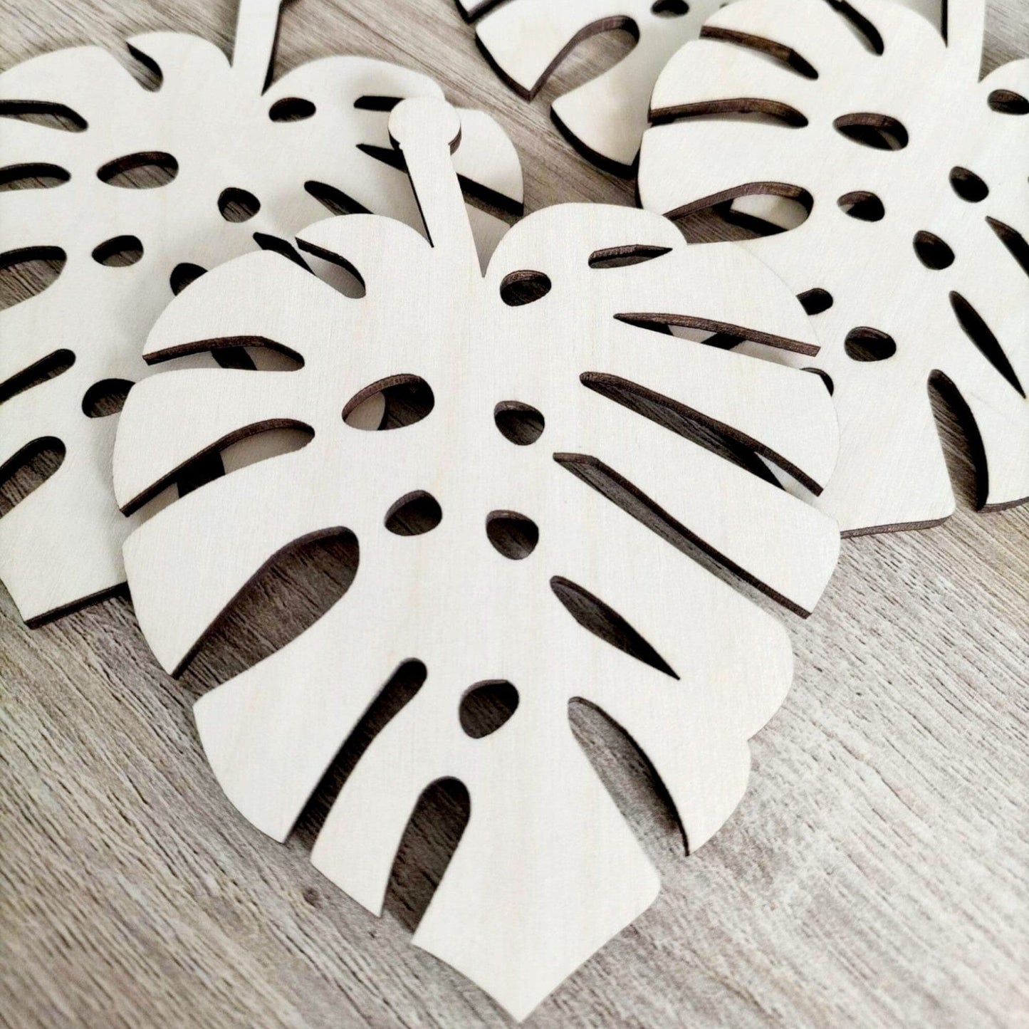 Monstera Coasters Whimsic 
