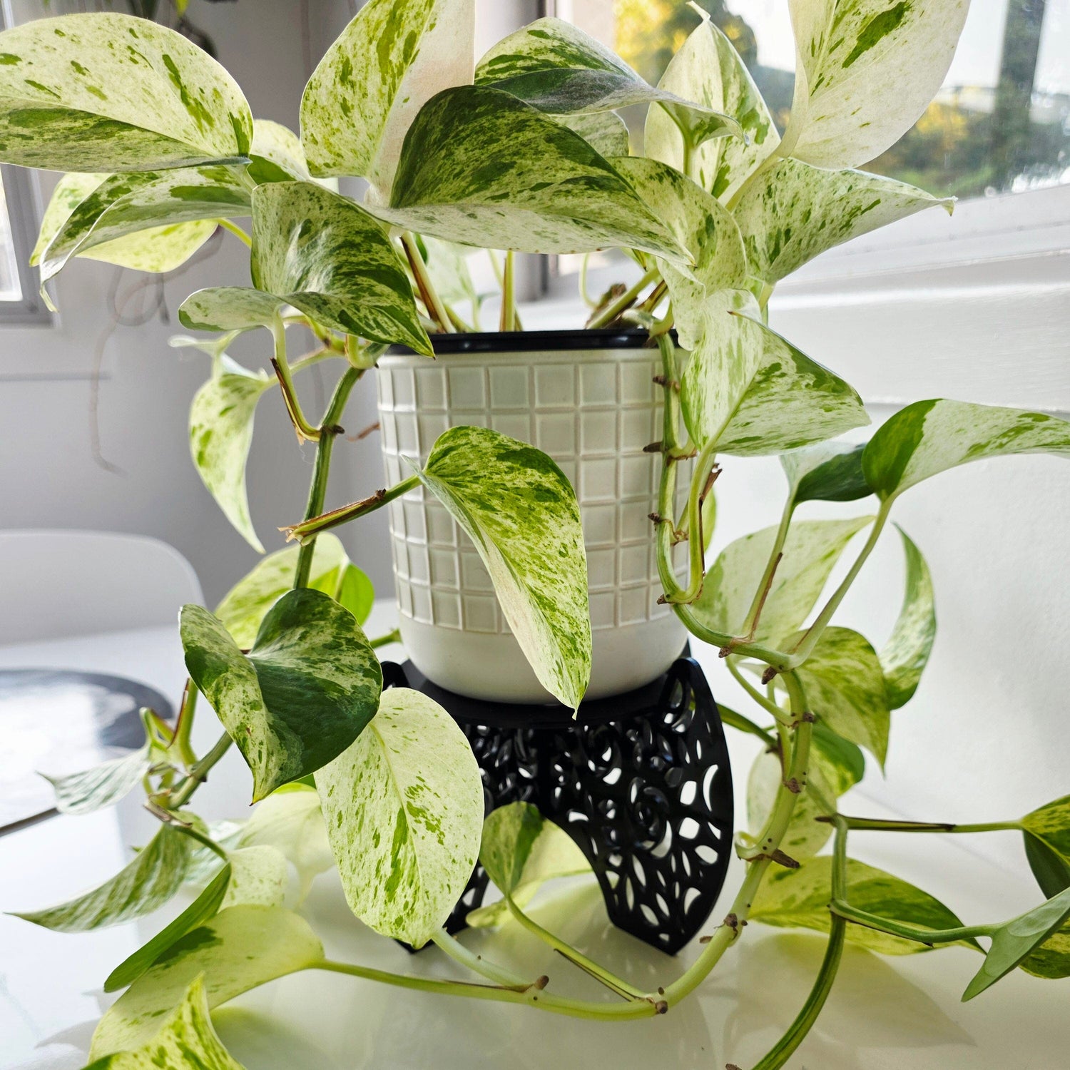 Plant Pot Stands Whimsic 