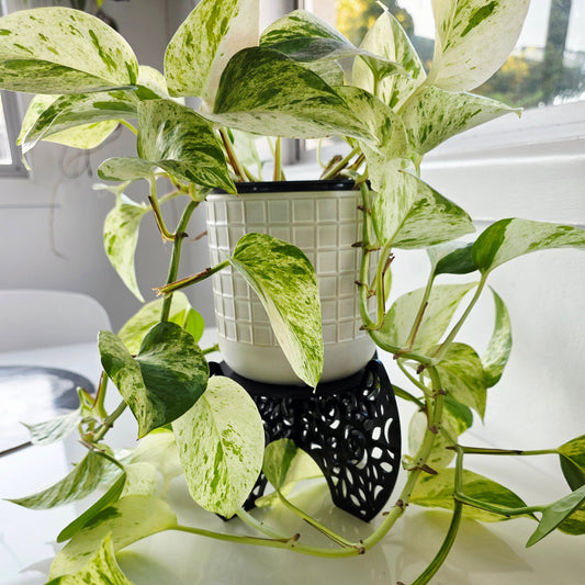 Plant Pot Stands Whimsic 