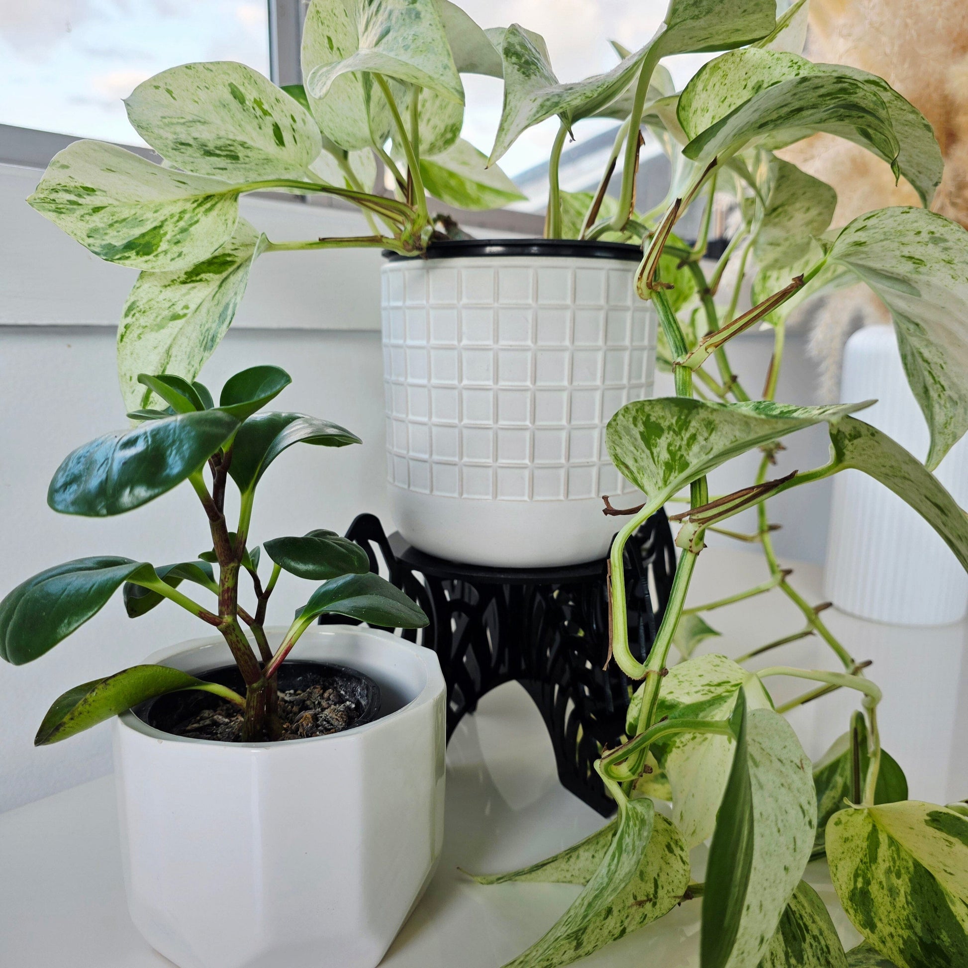 Plant Pot Stands Whimsic 