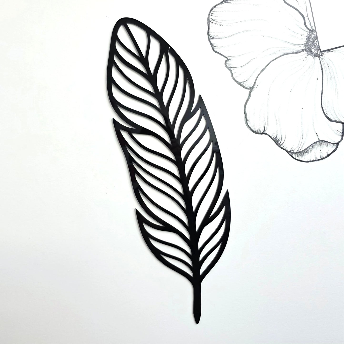 Natural Feather Wall Art