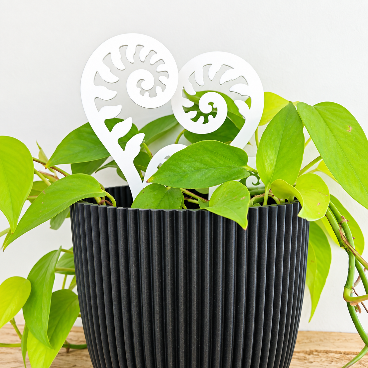 Mini Punga Plant Stakes | Set of 3