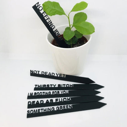 Witty Plant Stakes Whimsic 