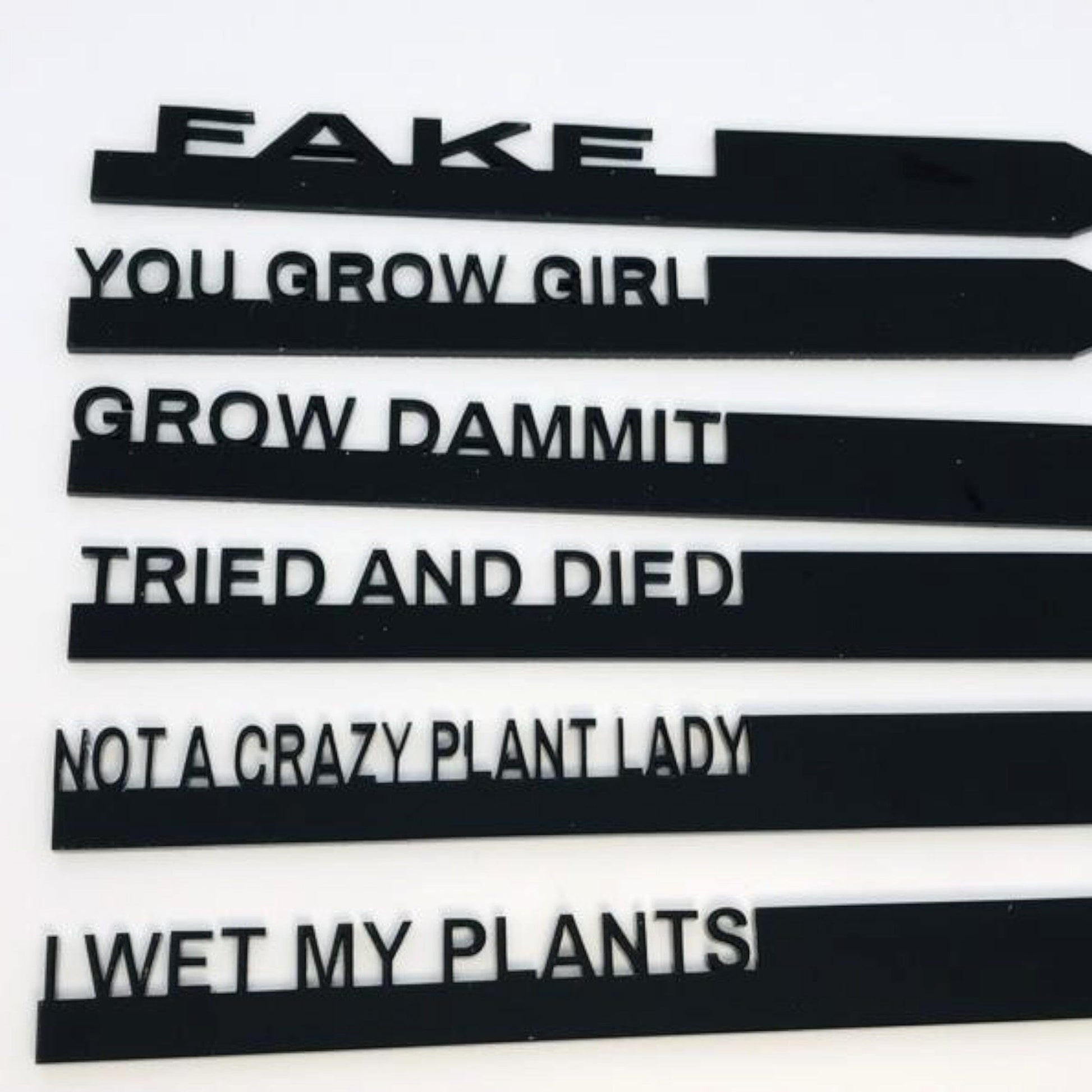 Witty Plant Stakes Whimsic Set 1 