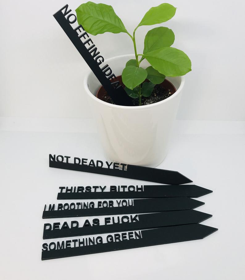 Witty Plant Stakes - Whimsic