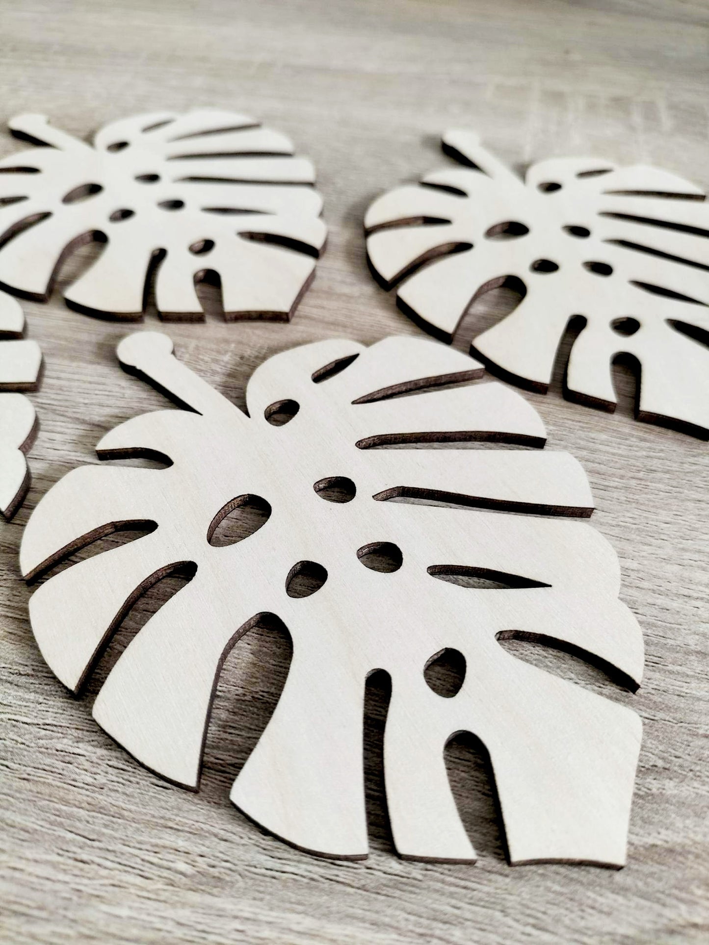 Monstera Coasters