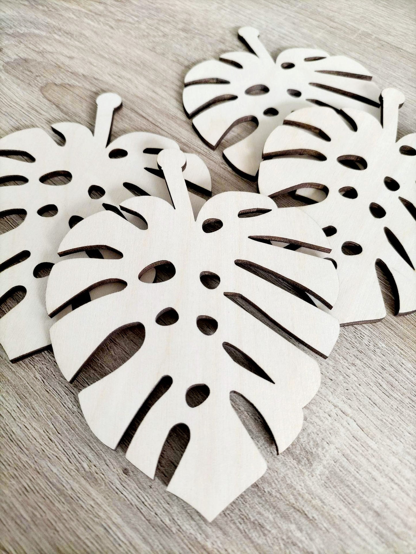 Monstera Coasters